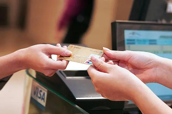 漫步城市绿洲，探秘动物园奇妙世界